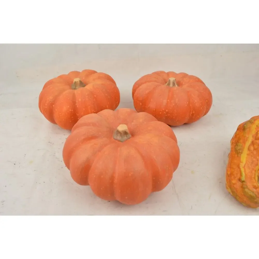 Pier 1 Fall Halloween Decor Lot Pumpkins Gourds Corn Witch Doll Autumn Harvest